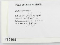 登錄號:F0017404藏品圖，第2張