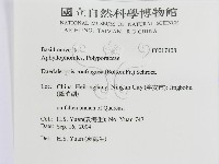 登錄號:F0017408藏品圖，第3張