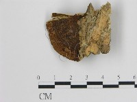 登錄號:F0017408藏品圖，第4張