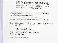 登錄號:F0017410藏品圖，第2張