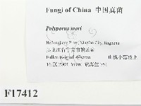登錄號:F0017412藏品圖，第2張