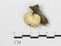 登錄號:F0017412藏品圖，第1張