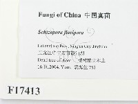 登錄號:F0017413藏品圖，第2張