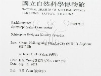 登錄號:F0017413藏品圖，第3張