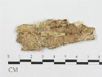 登錄號:F0017413藏品圖，第1張