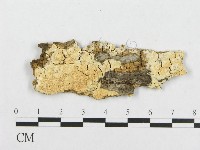 登錄號:F0017413藏品圖，第4張