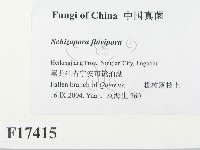 登錄號:F0017415藏品圖，第2張