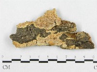 登錄號:F0017415藏品圖，第4張