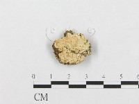 登錄號:F0017417藏品圖，第1張