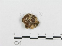 登錄號:F0017417藏品圖，第4張