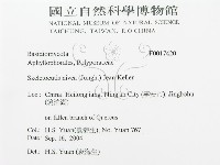 登錄號:F0017420藏品圖，第3張