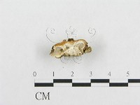 登錄號:F0017420藏品圖，第5張