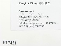 登錄號:F0017421藏品圖，第2張