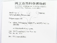 登錄號:F0017421藏品圖，第3張