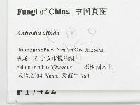 登錄號:F0017422藏品圖，第2張