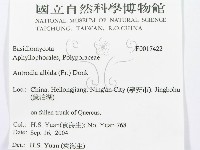 登錄號:F0017422藏品圖，第3張