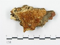 登錄號:F0017422藏品圖，第1張