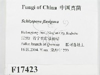 登錄號:F0017423藏品圖，第2張