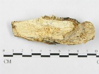 登錄號:F0017423藏品圖，第5張