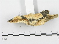 登錄號:F0017423藏品圖，第6張