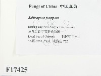 登錄號:F0017425藏品圖，第2張