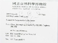 登錄號:F0017425藏品圖，第3張