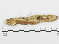 登錄號:F0017425藏品圖，第4張