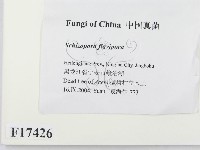 登錄號:F0017426藏品圖，第2張