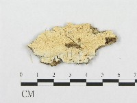 登錄號:F0017426藏品圖，第1張