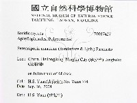 登錄號:F0017427藏品圖，第2張