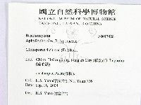 登錄號:F0017428藏品圖，第2張