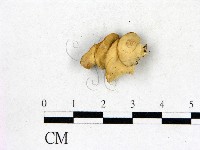 登錄號:F0017428藏品圖，第3張