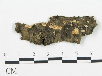 登錄號:F0017429藏品圖，第1張