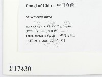 登錄號:F0017430藏品圖，第2張