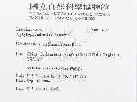 登錄號:F0017430藏品圖，第3張