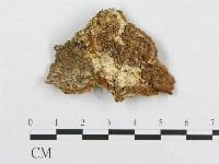 登錄號:F0017431藏品圖，第1張