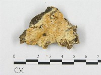 登錄號:F0017431藏品圖，第4張