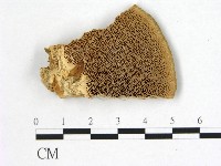 登錄號:F0017432藏品圖，第1張