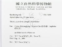 登錄號:F0017433藏品圖，第3張