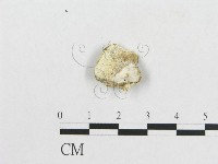 登錄號:F0017435藏品圖，第4張