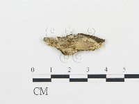 登錄號:F0017436藏品圖，第4張