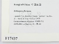 登錄號:F0017437藏品圖，第2張