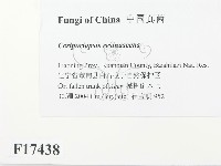 登錄號:F0017438藏品圖，第2張