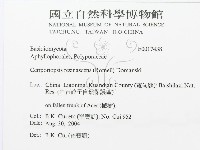 登錄號:F0017438藏品圖，第3張