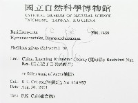 登錄號:F0017439藏品圖，第3張