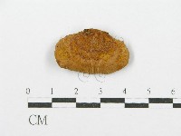登錄號:F0017439藏品圖，第4張