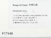 登錄號:F0017440藏品圖，第2張