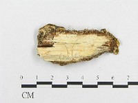 登錄號:F0017440藏品圖，第4張