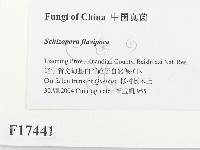 登錄號:F0017441藏品圖，第2張