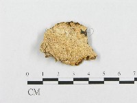 登錄號:F0017441藏品圖，第1張